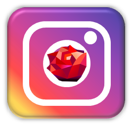 Instagram Icon